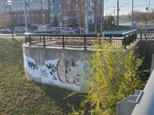 Graffiti removal is a specialized pressure washing service conducted by doctor dirt. Call today 317-695-2400.